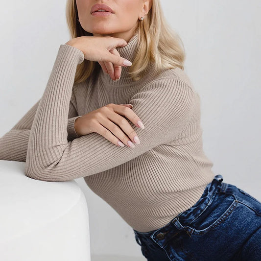 Basic Mock Neck Ribbed Cute Sexy Knitted Sweater